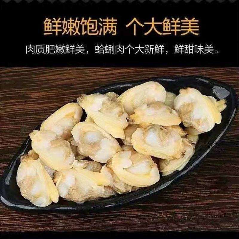 蛤蜊肉花甲鲜活花蛤黄蚬子肉花甲肉新鲜贝类文蛤花螺海螺海鲜