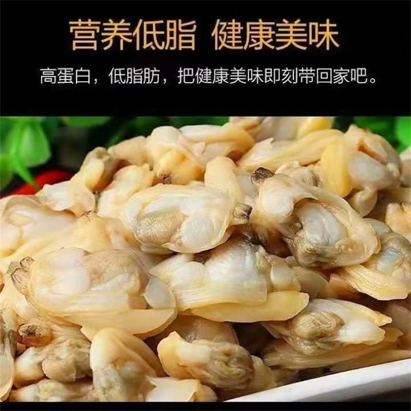 蛤蜊肉花甲鲜活花蛤黄蚬子肉花甲肉新鲜贝类文蛤花螺海螺海鲜