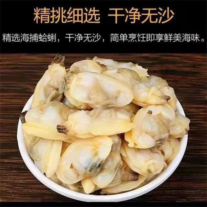 蛤蜊肉花甲鲜活花蛤黄蚬子肉花甲肉新鲜贝类文蛤花螺海螺海鲜