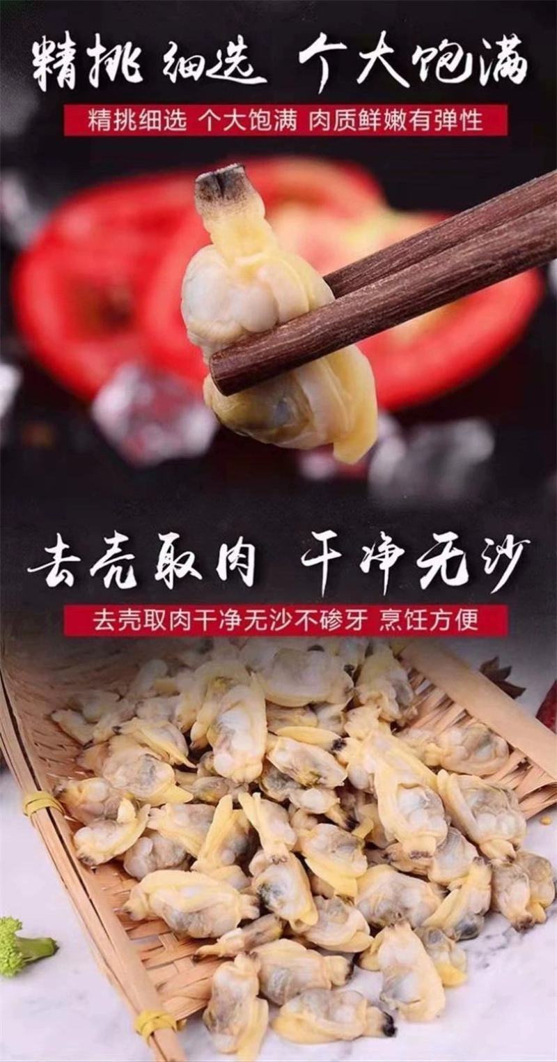 蛤蜊肉花甲鲜活花蛤黄蚬子肉花甲肉新鲜贝类文蛤花螺海螺海鲜