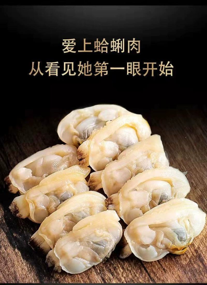蛤蜊肉花甲鲜活花蛤黄蚬子肉花甲肉新鲜贝类文蛤花螺海螺海鲜