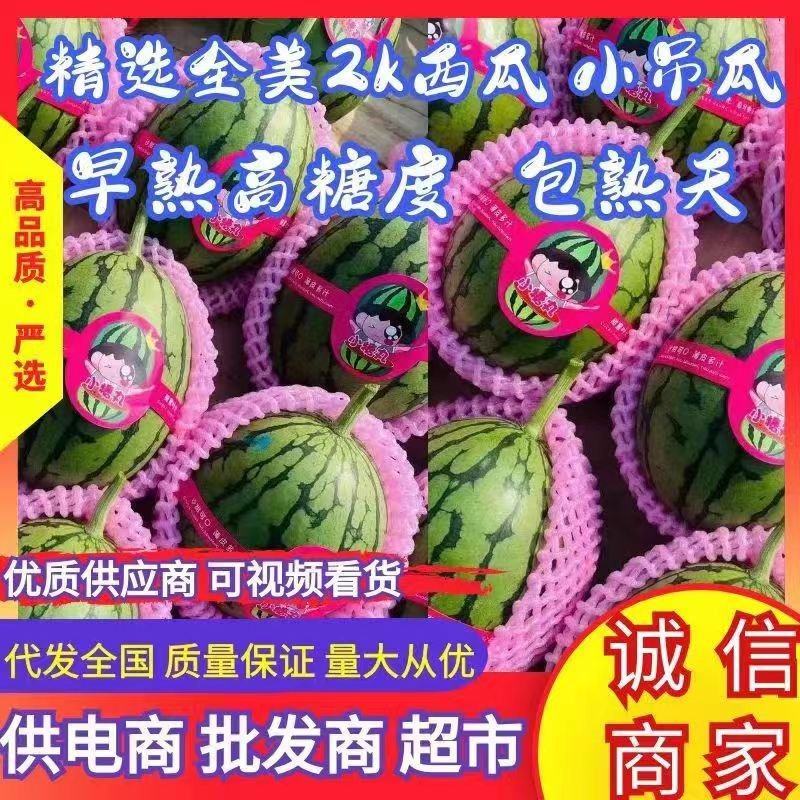 【推荐】精品小吊瓜小糖丸吊瓜全美2k西瓜