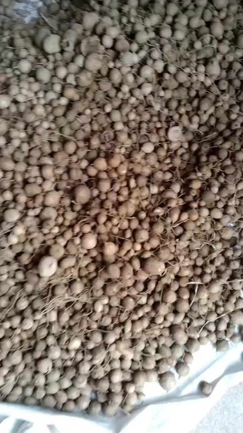 三叶青鲜货大别山特产批发零售产地发货
