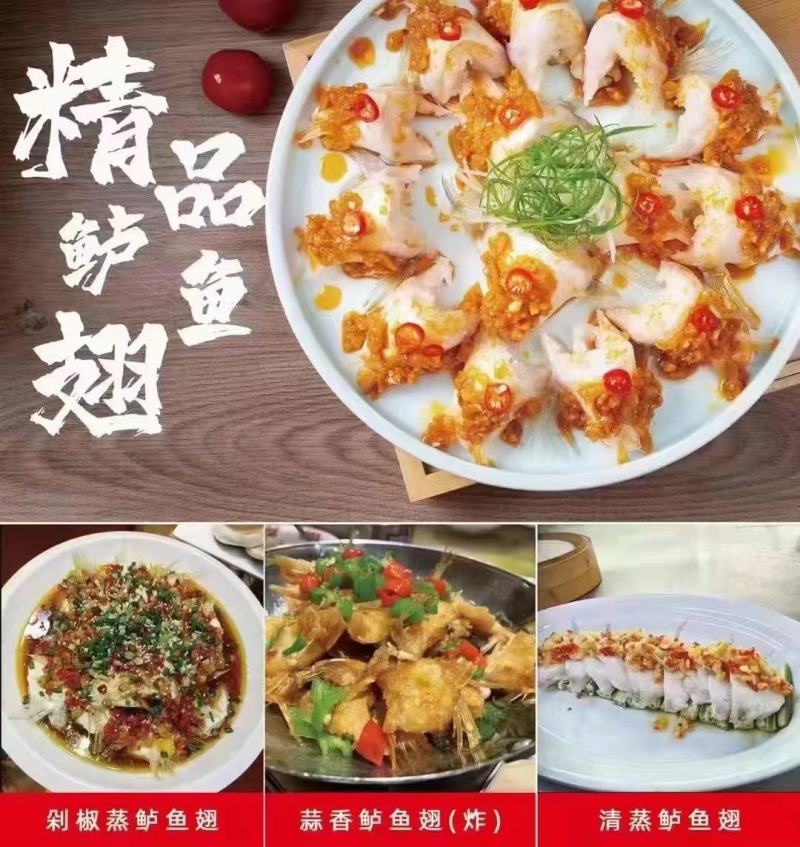 鲈鱼翅