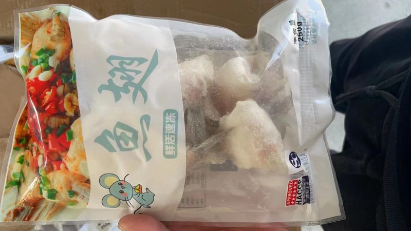 鲈鱼翅