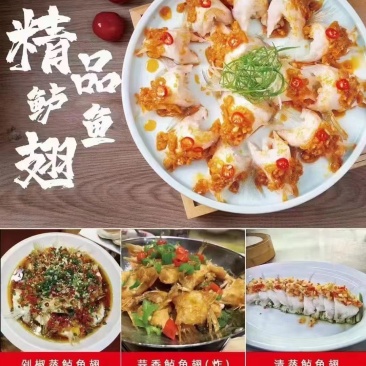 鲈鱼翅