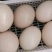 食用鸵鸟蛋