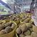 马来西亚D197猫山王果肉400g液氮榴莲广州仓发货