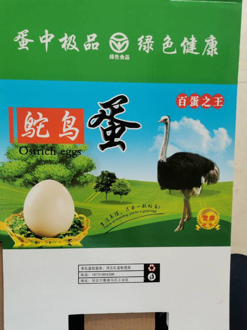 食用鸵鸟蛋