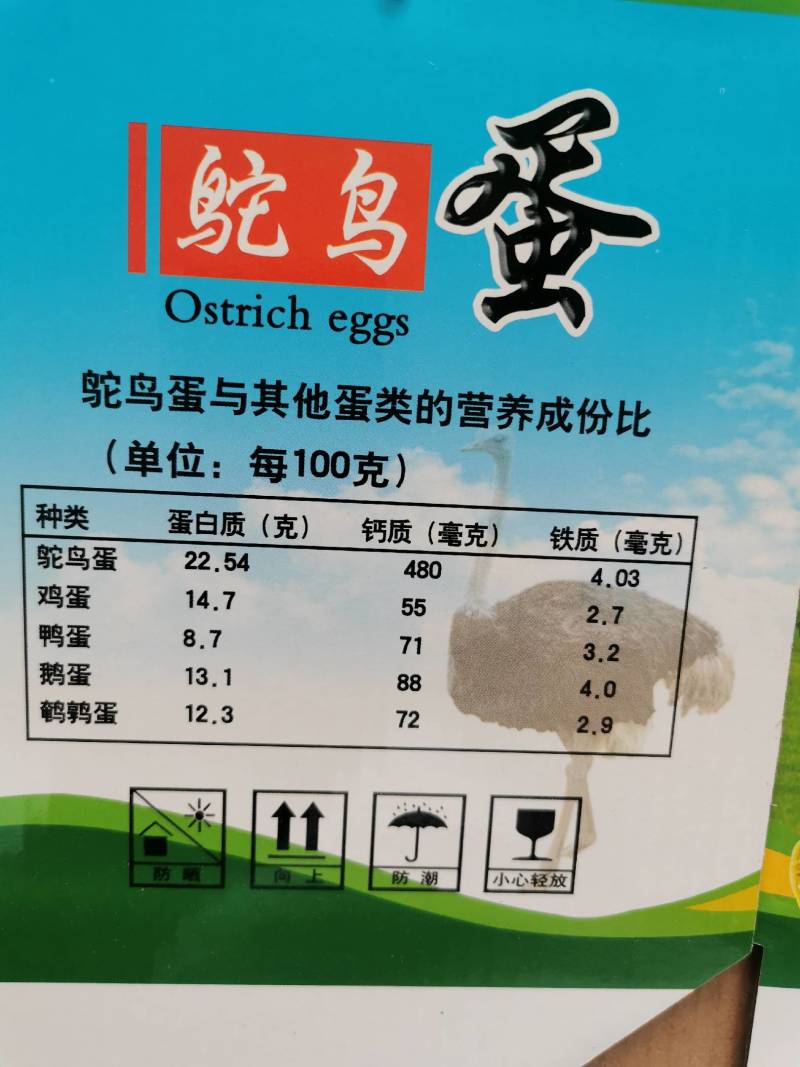 食用鸵鸟蛋