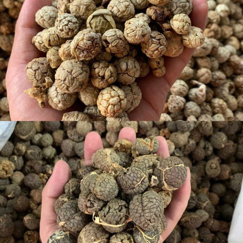 【精品草蔻】草豆蔻大草蔻中草蔻老寇香料中药材