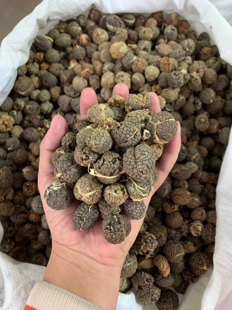 【精品草蔻】草豆蔻大草蔻中草蔻老寇香料中药材