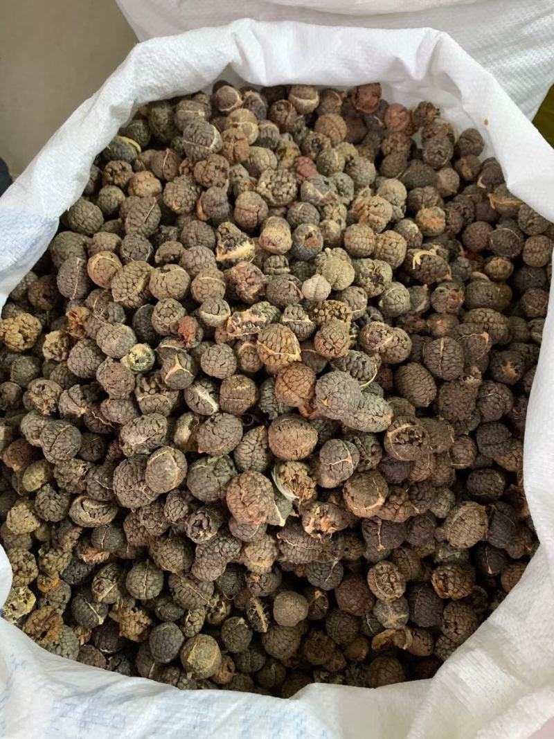 【精品草蔻】草豆蔻大草蔻中草蔻老寇香料中药材