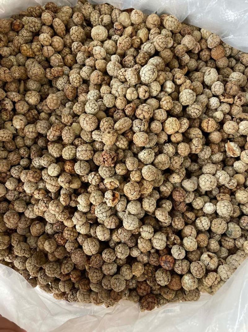 【精品草蔻】草豆蔻大草蔻中草蔻老寇香料中药材