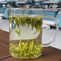 明前安吉白茶，毛峰，批发采购