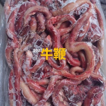 郑州惠济区鲜牛鞭厂家直发一手货源批发价格便宜欢迎下单