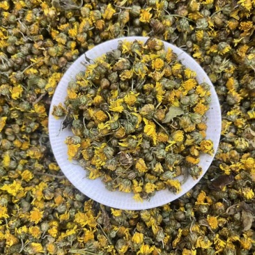 野菊花一手货源批发