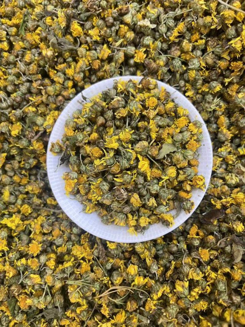 野菊花一手货源批发
