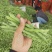 广西四季豆大量上市，支持市场货，电商货，散装袋装都可以。