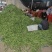 广西四季豆大量上市，支持市场货，电商货，散装袋装都可以。