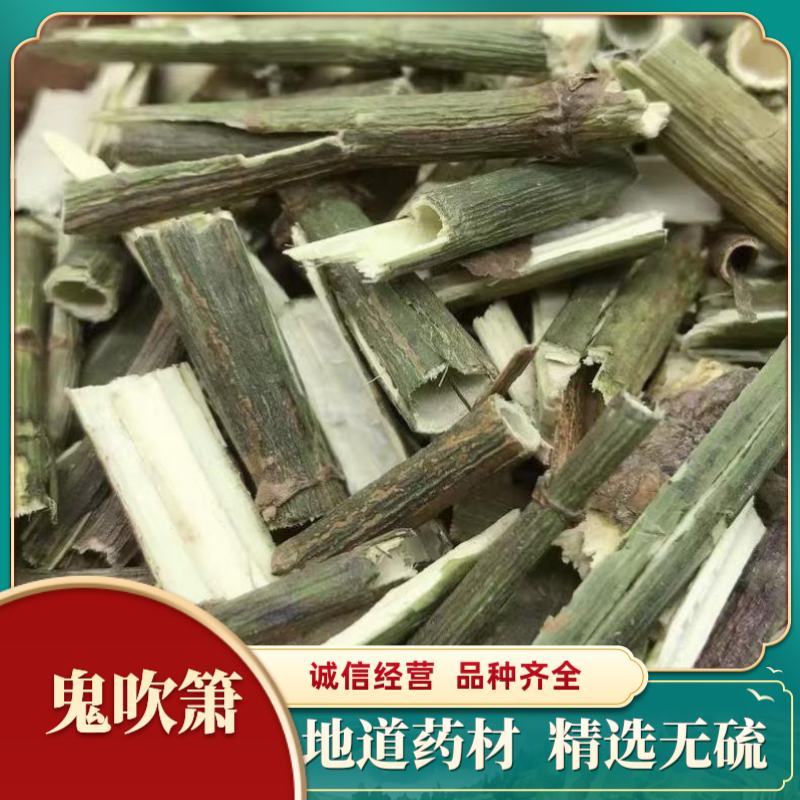 中药材鬼吹箫炮竹筒鬼竹子空心草大追风正品包邮
