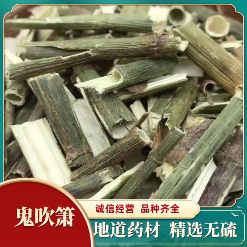 中药材鬼吹箫炮竹筒鬼竹子空心草大追风正品包邮