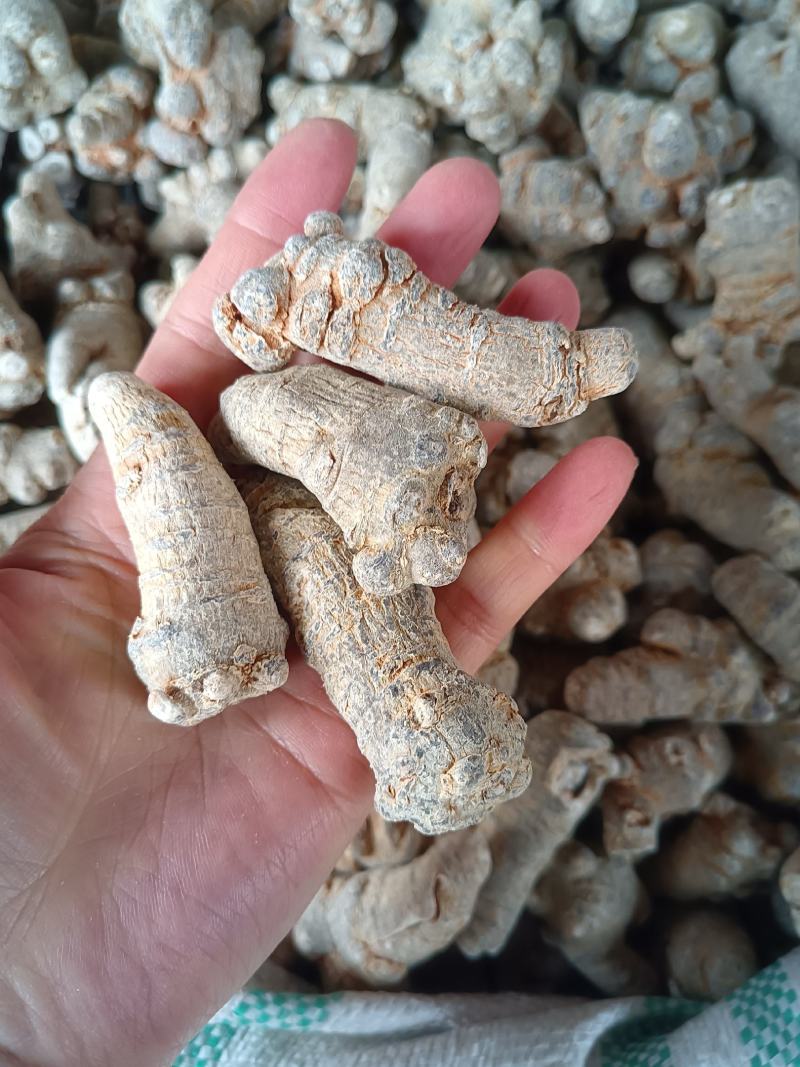 文山三七根茎（产地直批，多规格可选，可免费打粉）