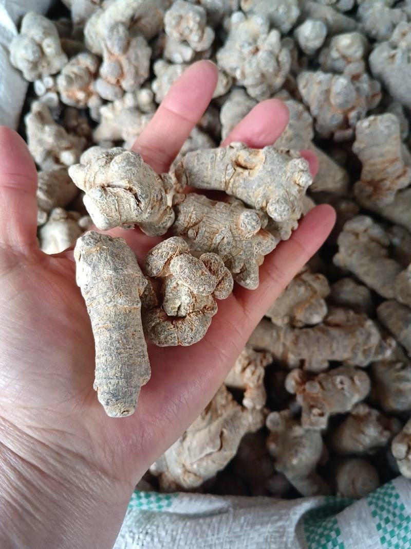 文山三七根茎（产地直批，多规格可选，可免费打粉）