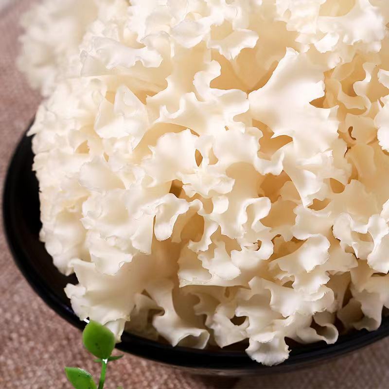 绣球菌46一公斤