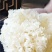 绣球菌46一公斤
