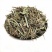 新鲜干货云南野生中药材马鞭草马边草马鞭梢500g