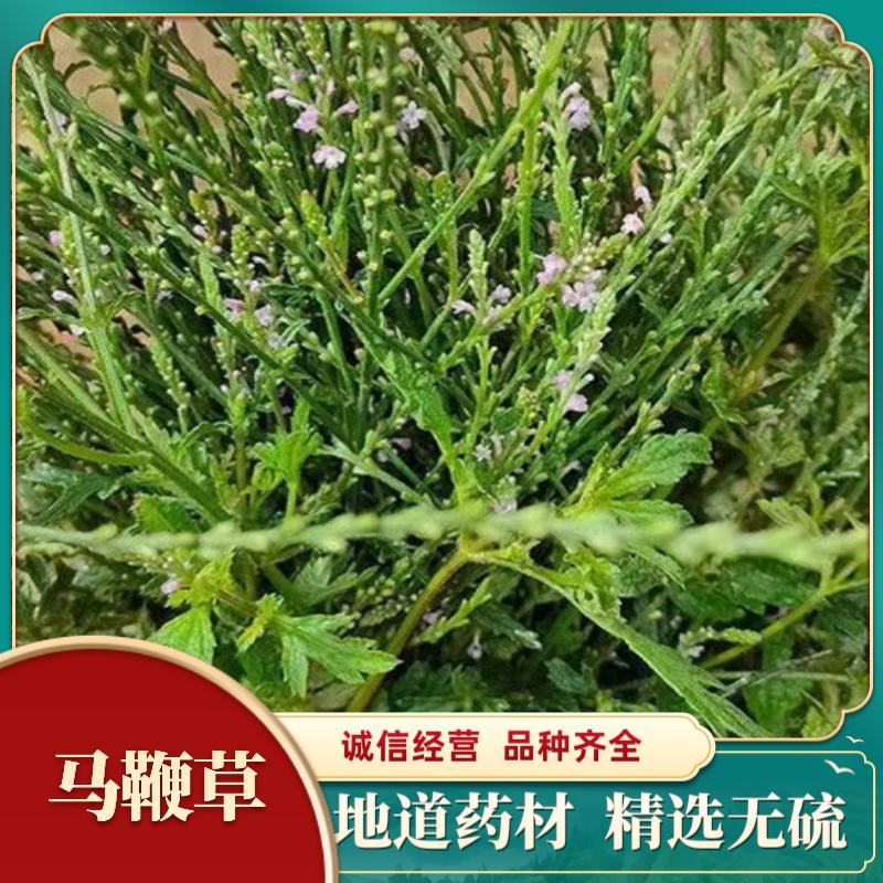新鲜干货云南野生中药材马鞭草马边草马鞭梢500g