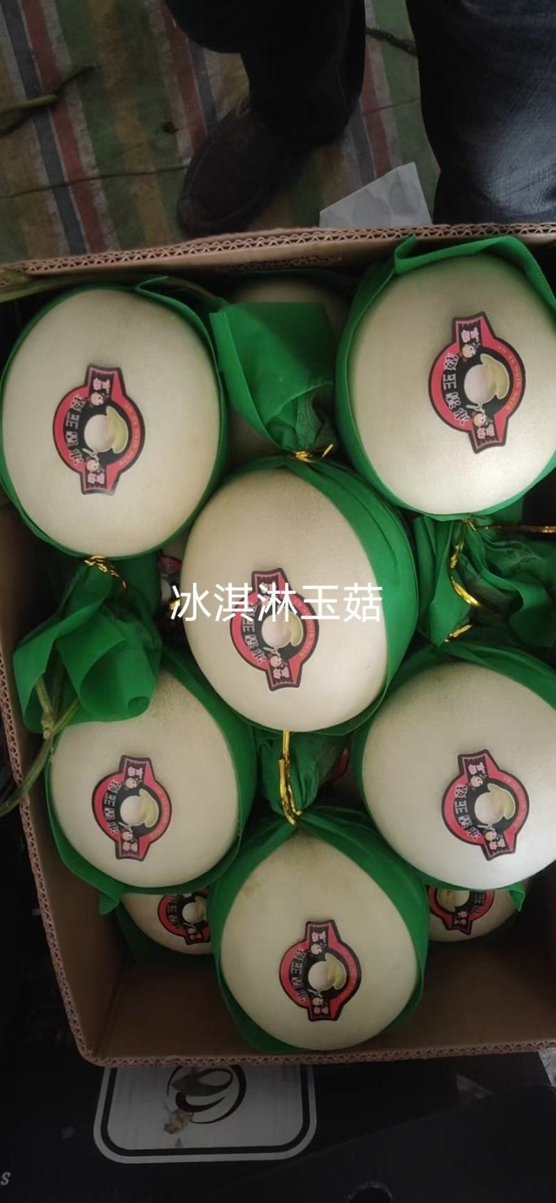 甜瓜，博洋九号
