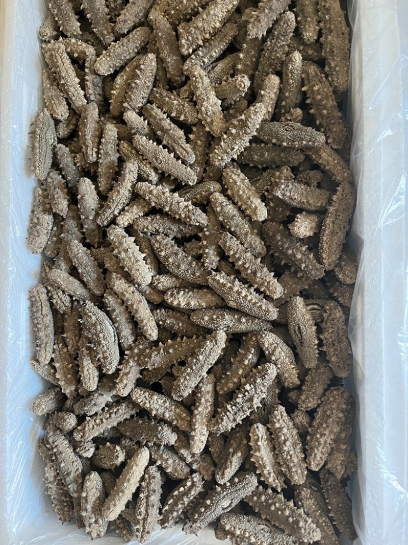 水洗淡干，自家加工，一手货源，高品质海参全国可发