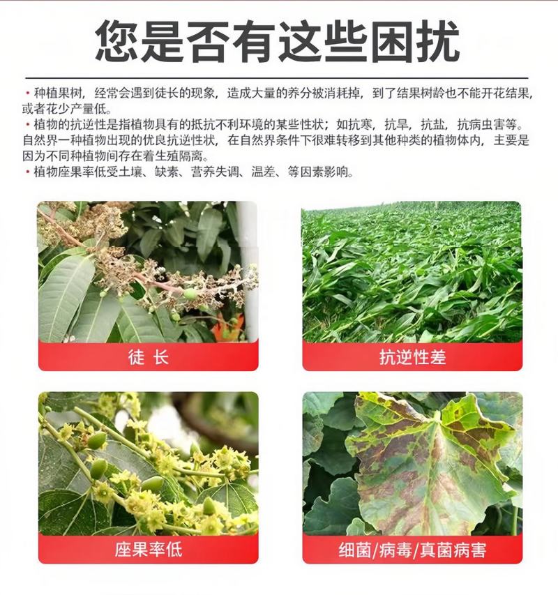 整箱优惠亚磷酸钾叶面肥品质不一样的亚磷酸钾