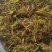 野生一支箭干货