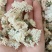 菊花，货源充足，足斤足量，全国发货，欢迎选购