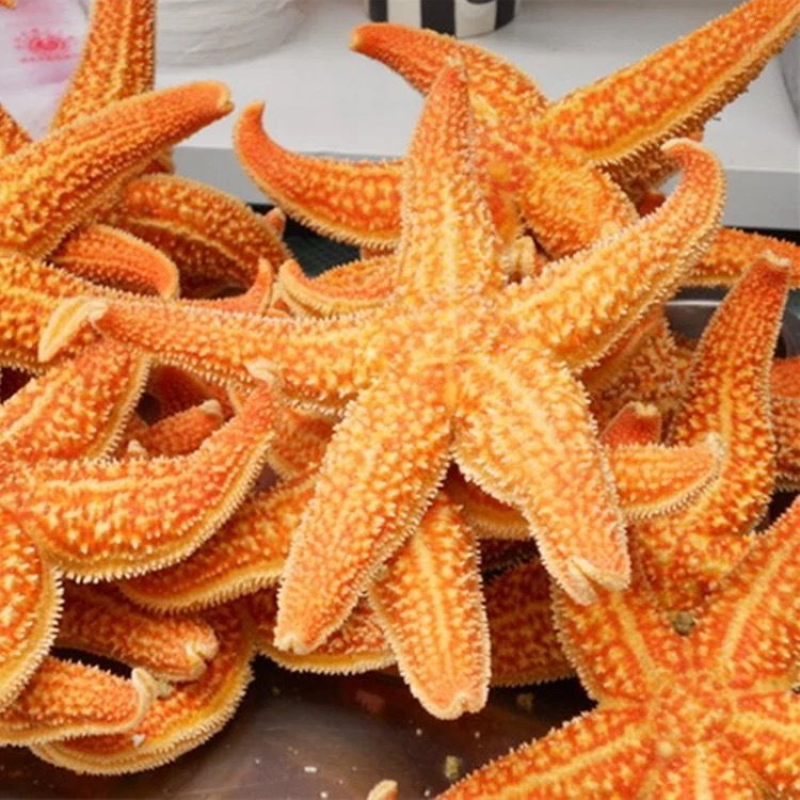 海星鲜活海鲜水产冷冻满籽熟冻海五星新鲜大海星食用