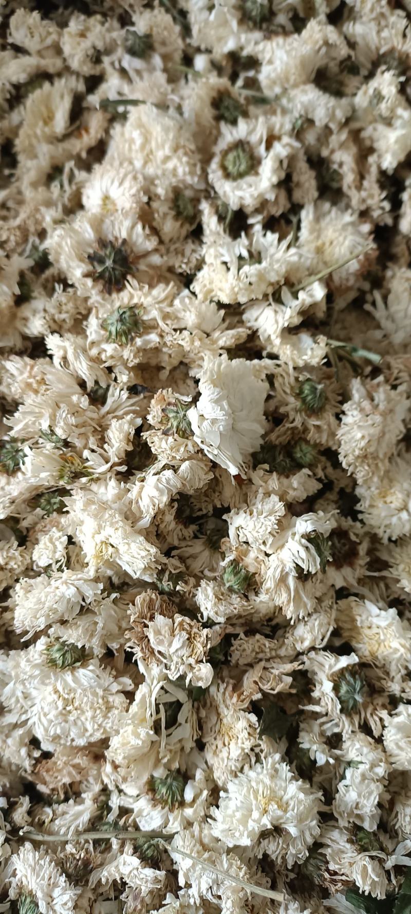 菊花，货源充足，足斤足量，全国发货，欢迎选购