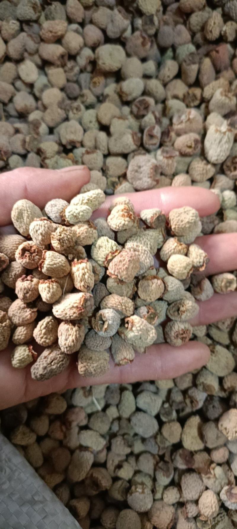 覆盆子，产地浙江，新货无杂质，货源充足，量大从优