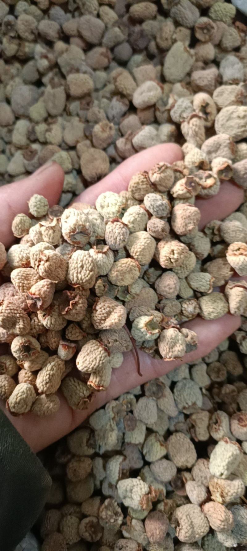 覆盆子，产地浙江，新货无杂质，货源充足，量大从优