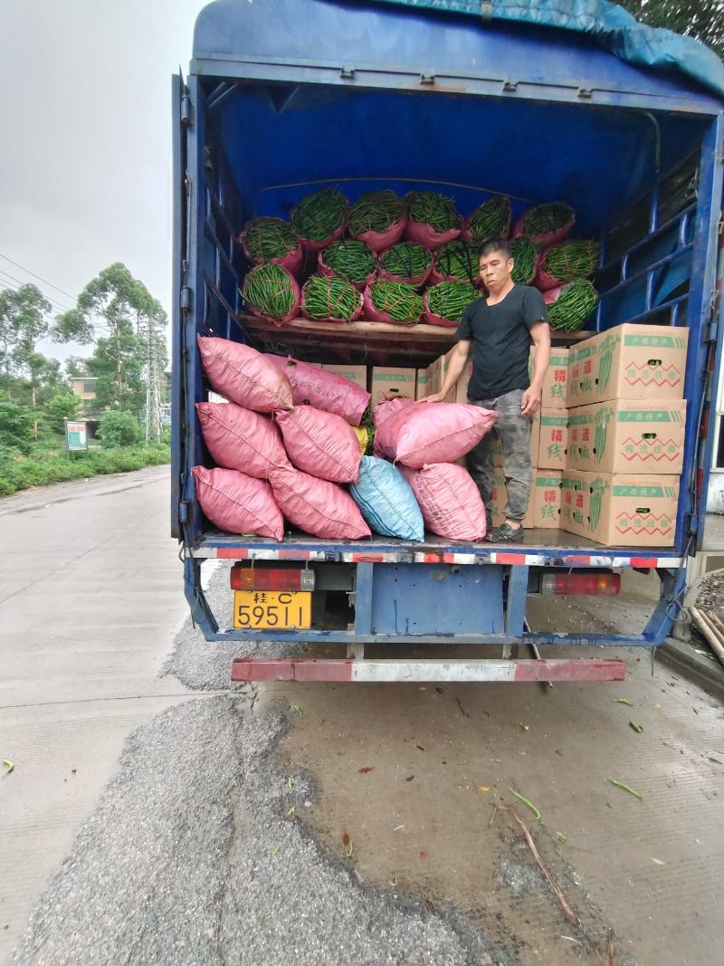 广西柳州精品螺线椒，8号椒，3号椒皱皮
