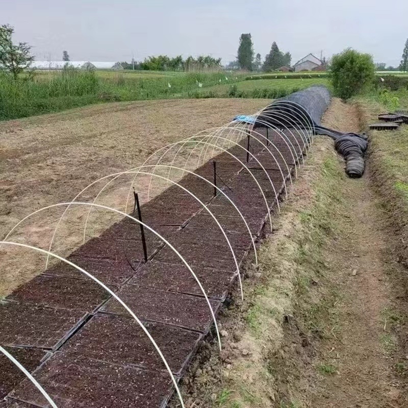 玻璃纤维杆花卉苗木育苗拱棚支架植物爬藤杆遮阳网支架