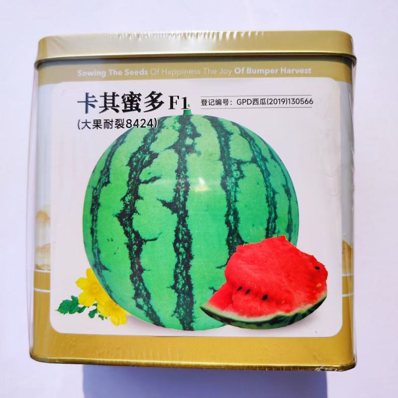 神禾冰糖美都西瓜种子高糖圆形瓤色鲜红酥脆甘甜多汁美都西瓜
