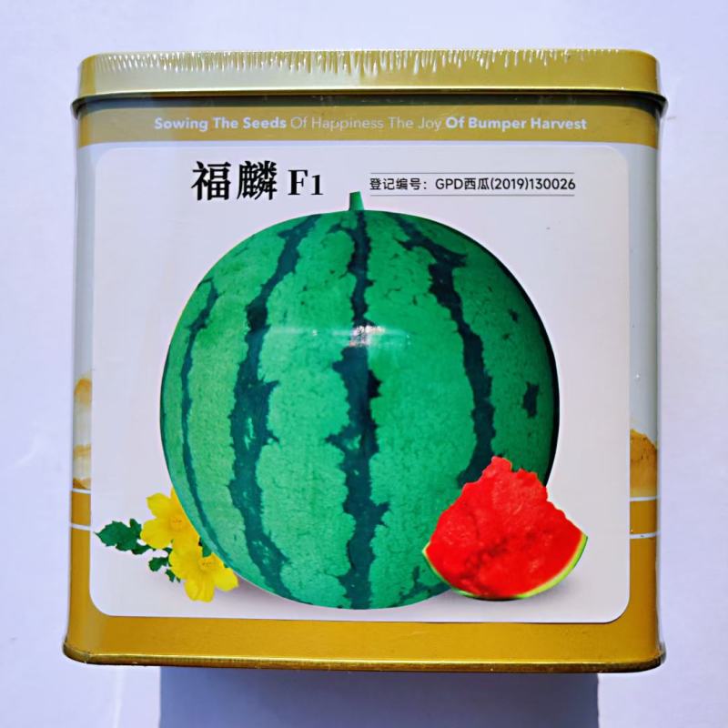 神禾冰糖美都西瓜种子高糖圆形瓤色鲜红酥脆甘甜多汁美都西瓜