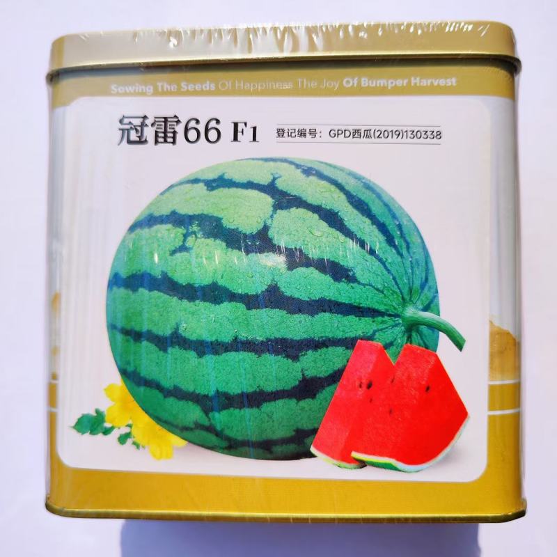 神禾冰糖美都西瓜种子高糖圆形瓤色鲜红酥脆甘甜多汁美都西瓜