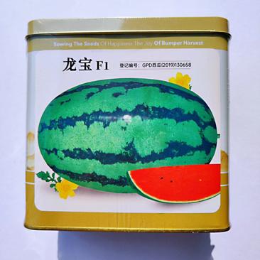西瓜种子神禾龙宝中早熟红瓤抗病皮薄高糖甜脆耐重茬杂交西瓜