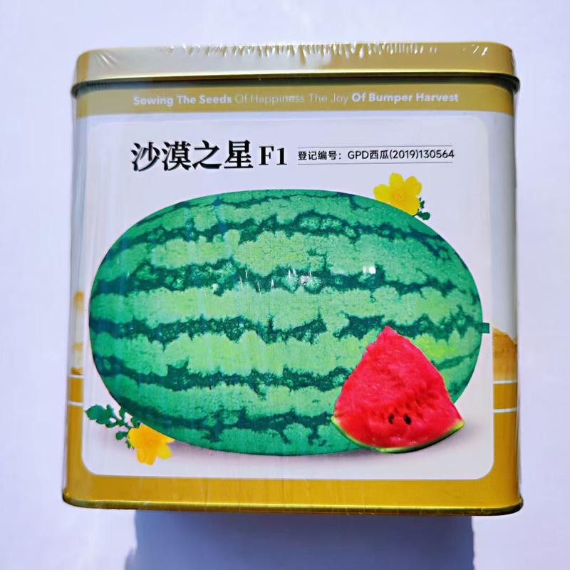 西瓜种子神禾龙宝中早熟红瓤抗病皮薄高糖甜脆耐重茬杂交西瓜