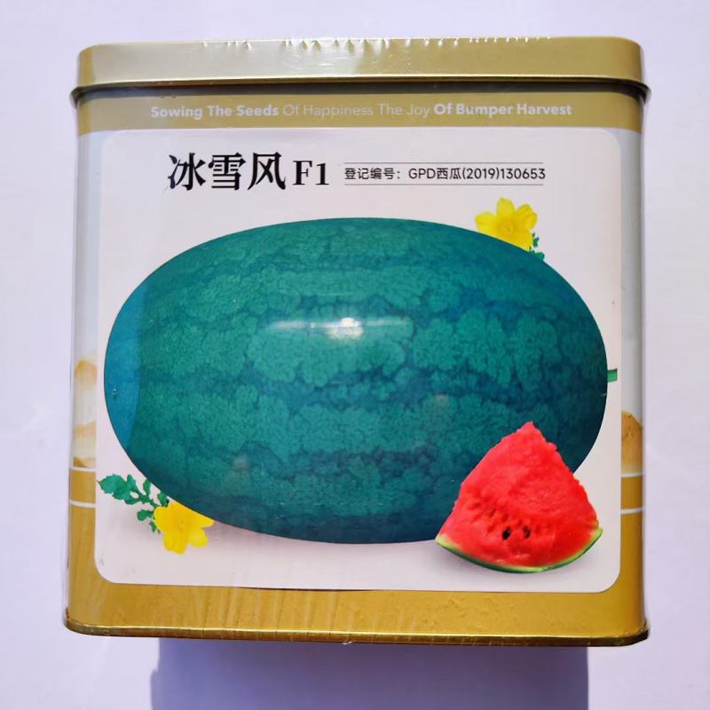 西瓜种子神禾龙宝中早熟红瓤抗病皮薄高糖甜脆耐重茬杂交西瓜