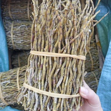 .铁皮石斛干条500石斛条铁皮枫斗石斛片煮汤石斛粉批发